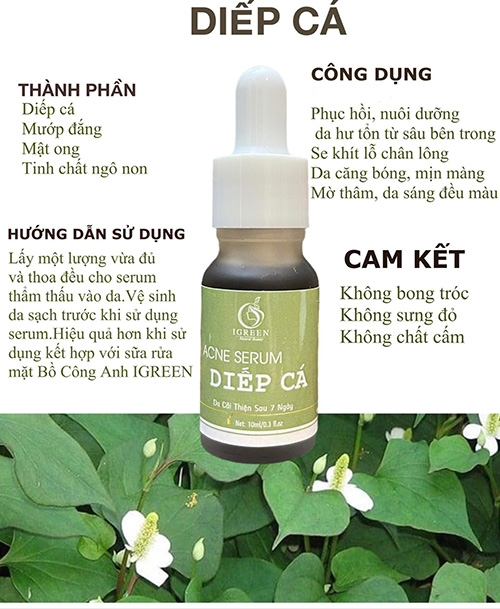 serum diếp cá igreen – giải pháp hoàn hảo cho làn da